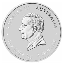 Stříbrná mince 1 Oz Lunar Series III Year of the Horse 2026 Kolorováno