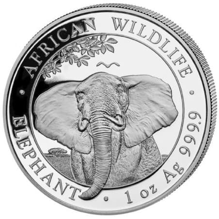 Stříbrná mince 1 Oz African Wildlife Elephant 2021