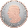 Stříbrná mince 1 Oz Celebrate Love 2026 zlaceno