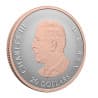 Stříbrná mince 1 Oz Celebrate Love 2026 zlaceno
