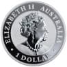 Stříbrná mince 1 Oz Australian Brumby Horse 2020
