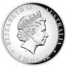Stříbrná mince 1 Oz Koala 2015 High Relief + Proof