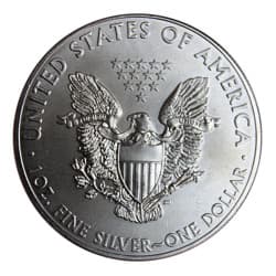 Stříbrná mince 1 Oz American Eagle 2012