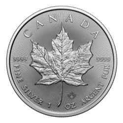 Stříbrná mince 1 Oz Maple Leaf 2026