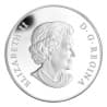 Stříbrná mince 1 Oz Princ Charles 2011