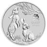 Stříbrná mince 2 Oz Lunar Series III Year of the Rabbit 2023