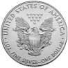 Stříbrná mince 1 Oz American Eagle 2021 typ 1