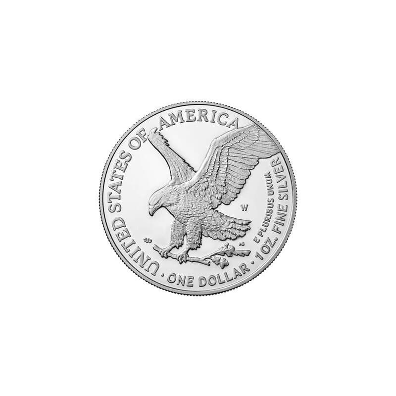 Stříbrná mince 1 Oz American Eagle 2022