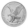 Tuba 20 x stříbrná mince 1 Oz American Eagle