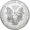 Stříbrná mince 1 Oz American Eagle 2012