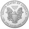Stříbrná mince 1 Oz American Eagle 2020