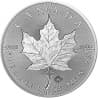 Stříbrná mince 1 Oz Maple Leaf 2019