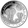 Stříbrná mince 1 Oz African Wildlife Elephant 2014