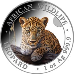 Stříbrná mince 1 Oz African Wildlife Leopard 2025 Kolorovaná