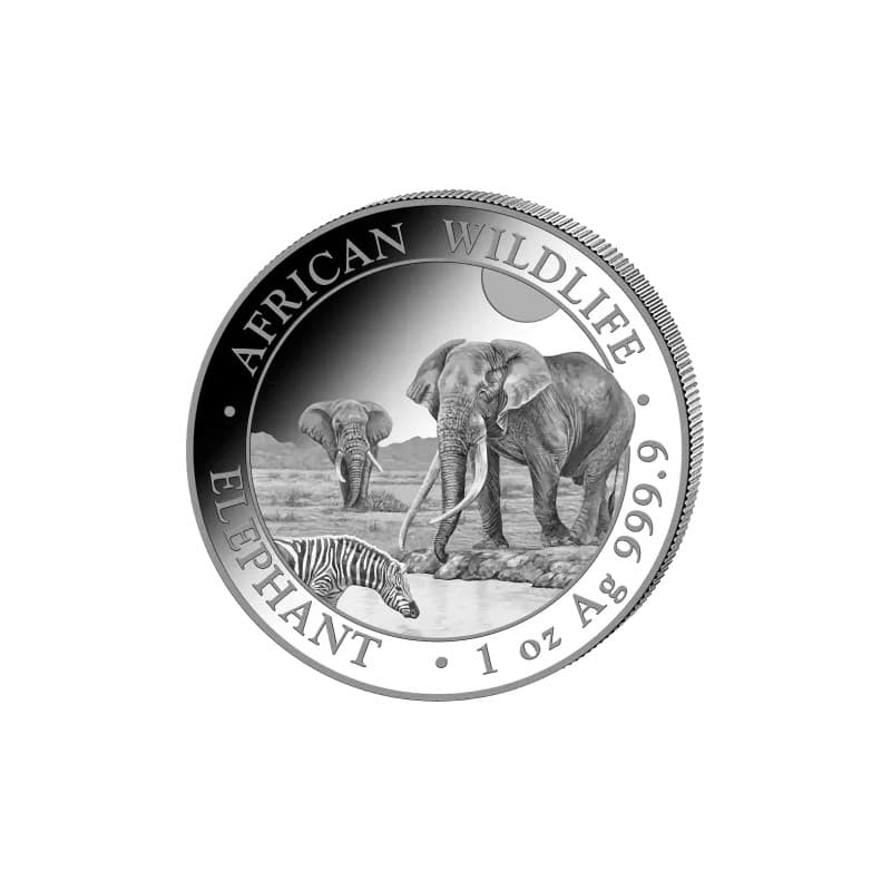 Stříbrná mince 1 Oz African Wildlife Elephant 2026